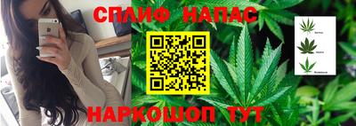 СК Жуковский